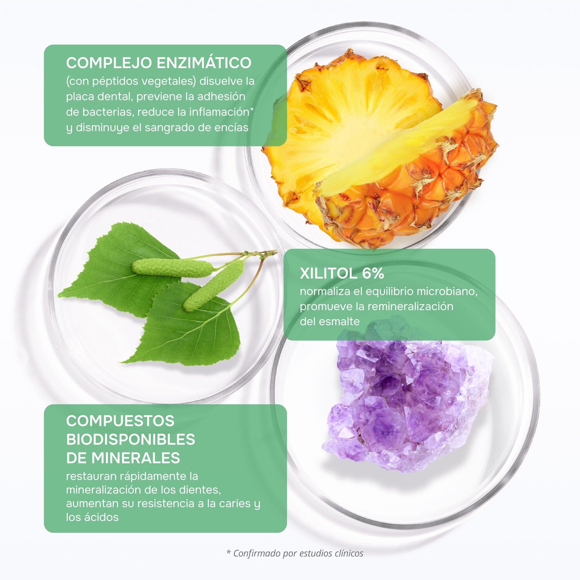 R.O.C.S. BIOCOMPLEX — ingredientes y beneficios