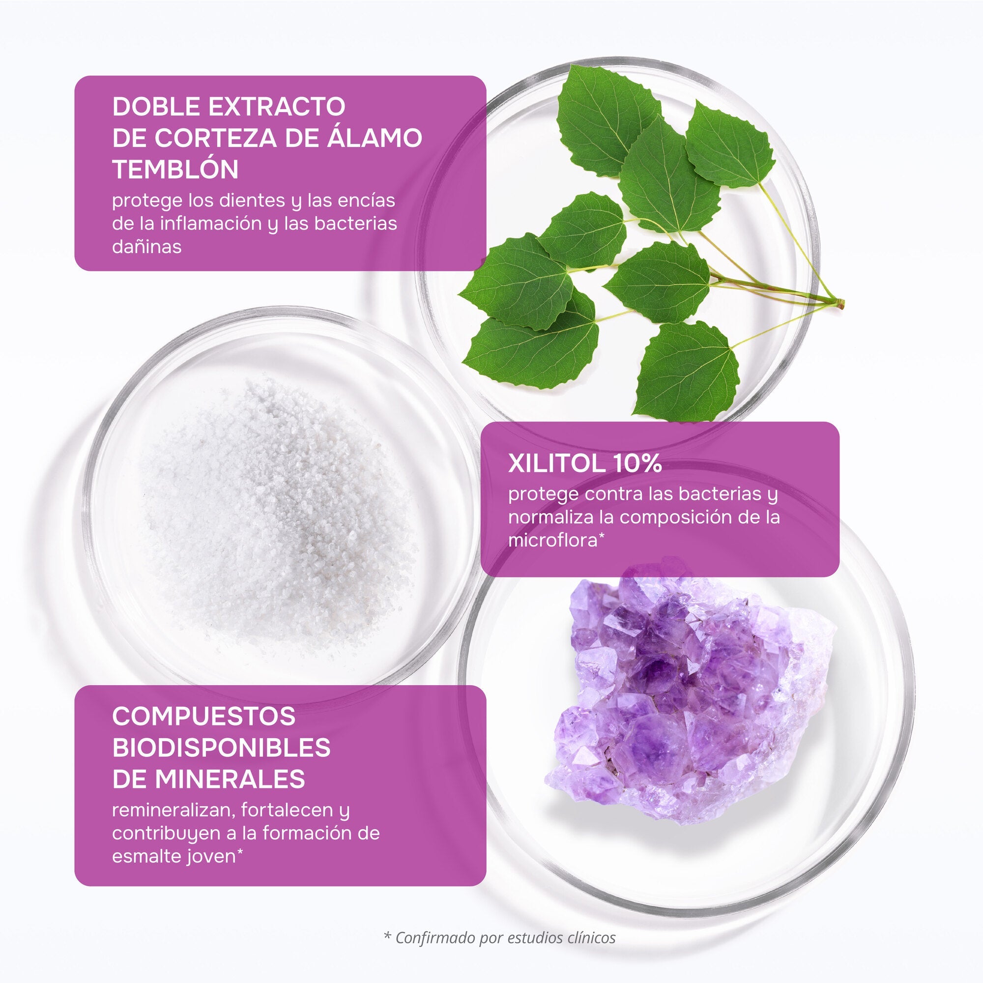 R.O.C.S. Junior Berry Mix — ingredientes y beneficios